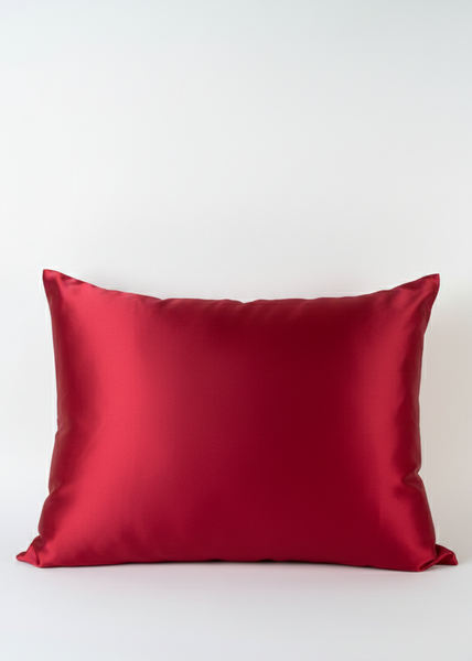 ZIDA SPILVENDRANA